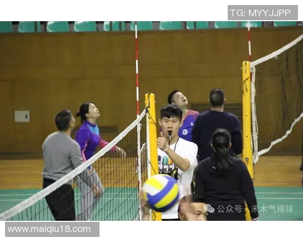 实时新闻南京排球队的节奏与魅力聚焦排球运动的热情与发展